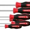 Gedore RED R38402006 6-delige 2C Schroevendraaierset - Torx