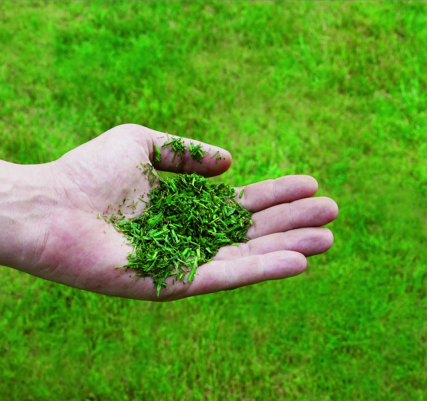 Einhell GC-PM 51/3 S HW-E Benzine Grasmaaier - 2700W - 170ccm - Afbeelding 6