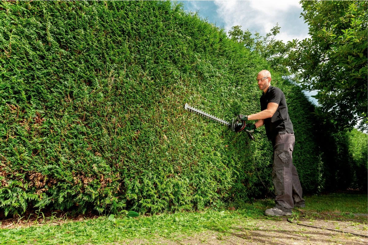 Metabo HS8745 Heggenschaar - 560 Watt - 450mm - 608745000 - Afbeelding 2