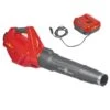 WOLF-Garten Lycos 40/740 B Accu Bladblazer - Set - 240km/H